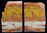 Tall, Colorful, Arizona Petrified Wood Bookends #65967-1